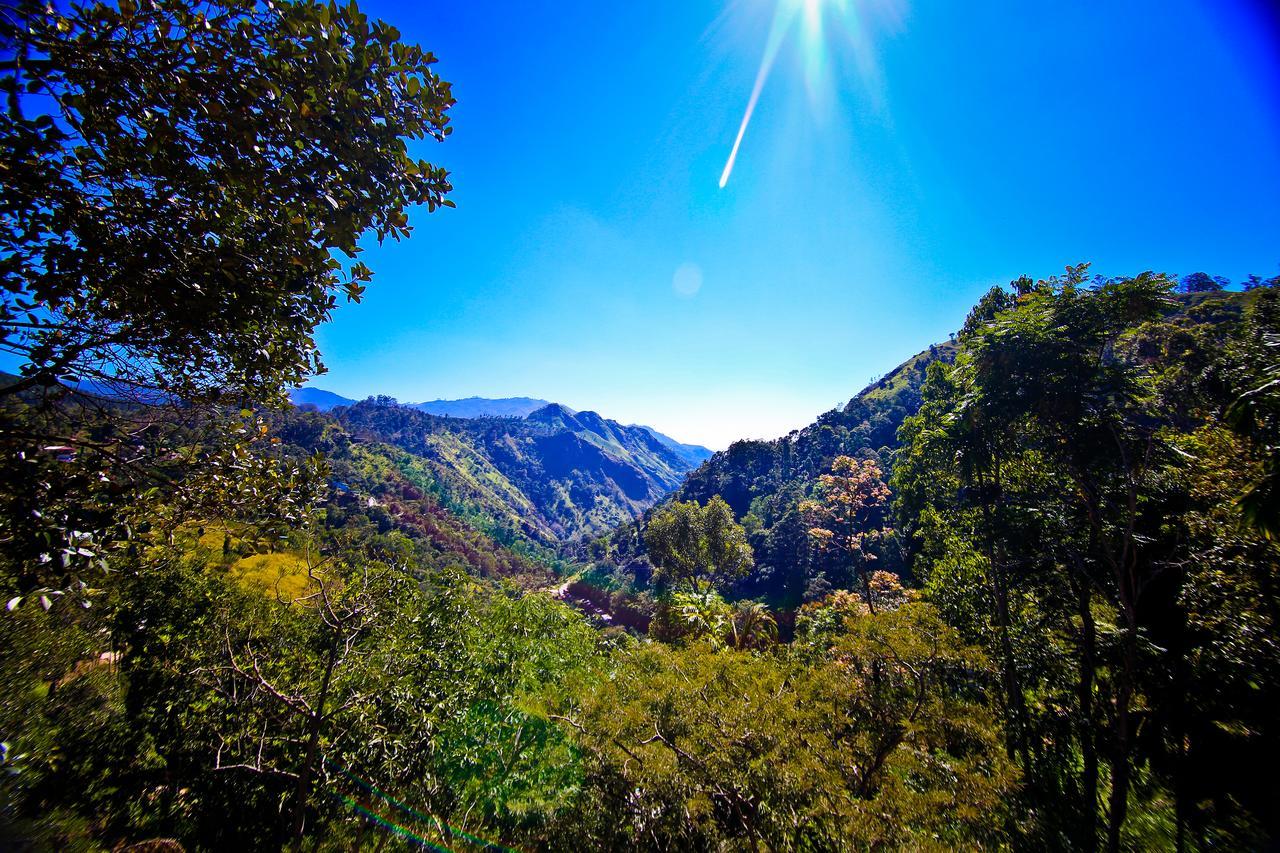 Ella Alpine Resort Ngoại thất bức ảnh