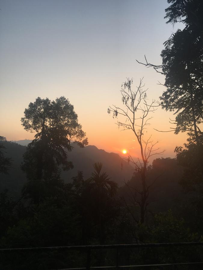 Ella Alpine Resort Ngoại thất bức ảnh